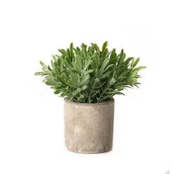 Hill Interiors Buxus Artificial Plant Green (20cm X 14cm X 14cm)
