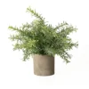 Hill Interiors Rosemary Stone Effect Artificial Plant Green (24cm X 24cm X 24cm) -HOMCO Garden Shop hill interiors rosemary stone effect artificial plant green 24cm x 24cm x 24cm 5059958627123 01c MP