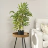 HOMCOM Potted Artificial Plants Bamboo Tree For Desk Indoor Outdoor, 60cm -HOMCO Garden Shop homcom potted artificial plants bamboo tree for desk indoor outdoor 60cm5056602945961 01c MP