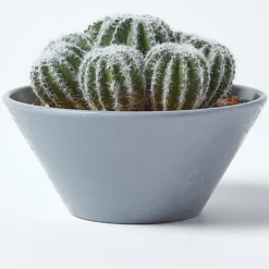 Homescapes Artificial Barrel Cactus Arrangement In Round Grey Pot, 17 Cm Tall -HOMCO Garden Shop homescapes artificial barrel cactus arrangement in round grey pot 17 cm tall5055967498709 04c MP