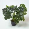 Homescapes Artificial Monstera Plant, 60 Cm Tall -HOMCO Garden Shop homescapes artificial monstera plant 60 cm tall5056280707431 01c MP