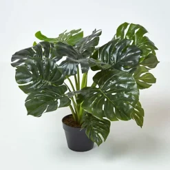 Homescapes Artificial Monstera Plant, 60 Cm Tall