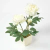 Homescapes Cream Artificial Peonies In Decorative Cream Pot, 48 Cm Tall -HOMCO Garden Shop homescapes cream artificial peonies in decorative cream pot 48 cm tall5055967490451 01c MP