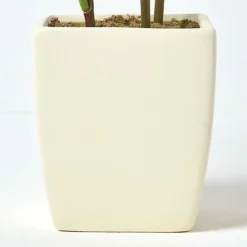 Homescapes Cream Artificial Peonies In Decorative Cream Pot, 48 Cm Tall -HOMCO Garden Shop homescapes cream artificial peonies in decorative cream pot 48 cm tall5055967490451 04c MP