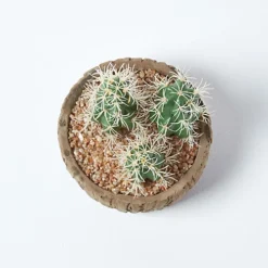 Homescapes Echinocactus Artificial Cactus In Round Wooden Planter, 15 Cm Tall -HOMCO Garden Shop homescapes echinocactus artificial cactus in round wooden planter 15 cm tall5055967493971 03c MP