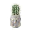 Homescapes Echioncactus Artificial Cactus In Decorative Buddha Head Stone Pot, 24 Cm Tall -HOMCO Garden Shop homescapes echioncactus artificial cactus in decorative buddha head stone pot 24 cm tall5055967493889 01c MP