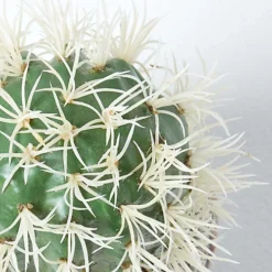 Homescapes Echioncactus Artificial Cactus In Decorative Buddha Head Stone Pot, 24 Cm Tall -HOMCO Garden Shop homescapes echioncactus artificial cactus in decorative buddha head stone pot 24 cm tall5055967493889 04c MP