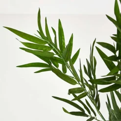 Homescapes Green 3ft Bamboo Tree Artificial Plant With Pot, 95 Cm -HOMCO Garden Shop homescapes green 3ft bamboo tree artificial plant with pot 95 cm5055967456211 04c MP