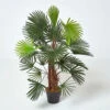 Homescapes Green 'Lady Palm' Tree Artificial Rhapis Plant With Pot, 90 Cm -HOMCO Garden Shop homescapes green lady palm tree artificial rhapis plant with pot 90 cm5055967456143 01c MP