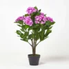 Homescapes Lilac Hydrangea Artificial Plant With Pot, 85 Cm -HOMCO Garden Shop homescapes lilac hydrangea artificial plant with pot 85 cm5055967456136 01c MP