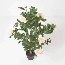 Homescapes Peach Artificial Peony Tree In Black Pot, 100 Cm Tall -HOMCO Garden Shop homescapes peach artificial peony tree in black pot 100 cm tall5056280708162 03c MP