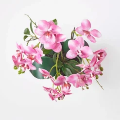 Homescapes Pink Orchid 54 Cm Phalaenopsis In Ceramic Pot Extra Large, 5 Stems -HOMCO Garden Shop homescapes pink orchid 54 cm phalaenopsis in ceramic pot extra large 5 stems5056280712442 03c MP