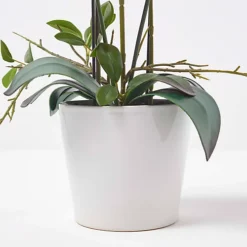 Homescapes Pink Orchid 54 Cm Phalaenopsis In Ceramic Pot Extra Large, 5 Stems -HOMCO Garden Shop homescapes pink orchid 54 cm phalaenopsis in ceramic pot extra large 5 stems5056280712442 04c MP