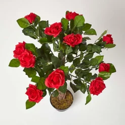 Homescapes Red Potted Rose Tree Artificial Plant With Lifelike Green Leaves And Single Trunk, 90 Cm -HOMCO Garden Shop homescapes red potted rose tree artificial plant with lifelike green leaves and single trunk 90 cm5055967456204 02c MP
