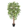 Homescapes Variegated Green Ficus Tree Artificial Plant With Twisted Trunk, 6 Ft -HOMCO Garden Shop homescapes variegated green ficus tree artificial plant with twisted trunk 6 ft5055967421424 01c MP