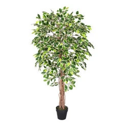 Homescapes Variegated Green Ficus Tree Artificial Plant With Twisted Trunk, 6 Ft