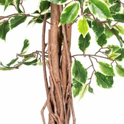Homescapes Variegated Green Ficus Tree Artificial Plant With Twisted Trunk, 6 Ft -HOMCO Garden Shop homescapes variegated green ficus tree artificial plant with twisted trunk 6 ft5055967421424 03c MP