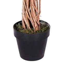 Homescapes Variegated Green Ficus Tree Artificial Plant With Twisted Trunk, 6 Ft -HOMCO Garden Shop homescapes variegated green ficus tree artificial plant with twisted trunk 6 ft5055967421424 04c MP