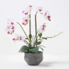 Homescapes White Orchid 52 Cm Phalaenopsis In Cement Pot Extra Large, 5 Stems -HOMCO Garden Shop homescapes white orchid 52 cm phalaenopsis in cement pot extra large 5 stems5056280712565 01c MP
