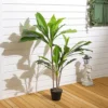 Livingandhome 3 Trunk Artificial Asplenium Nidus Tree House Plant Indoor Plant In Black Pot 105 Cm -HOMCO Garden Shop livingandhome 3 trunk artificial asplenium nidus tree house plant indoor plant in black pot 105 cm0735940251402 01c MP