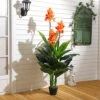 Livingandhome 3 Trunks Artificial Canna Lily Flower Tree House Plant Indoor Plant In Black Plant 165 Cm 2 Livingandhome 3 Trunks Artificial Canna Lily Flower Tree House Plant Indoor Plant In Black Plant 165 Cm -HOMCO Garden Shop livingandhome 3 trunks artificial canna lily flower tree house plant indoor plant in black plant 165 cm0735940251358 01c MP