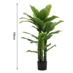 Livingandhome 4 Trunk Artificial Fortune Tree Indoor Decorative Plant In Black Pot 190 Cm -HOMCO Garden Shop livingandhome 4 trunk artificial fortune tree indoor decorative plant in black pot 190 cm0735940258357 06c MP
