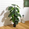 Livingandhome Artificial Alocasia Tree House Plant Indoor Plant In Black Pot 95 Cm -HOMCO Garden Shop livingandhome artificial alocasia tree house plant indoor plant in black pot 95 cm0735940251365 01c MP