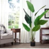 Livingandhome Artificial Banana Tree House Plant Indoor Plant In Black Pot 160 Cm -HOMCO Garden Shop livingandhome artificial banana tree house plant indoor plant in black pot 160 cm0735940276252 01c MP