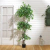 Livingandhome Artificial Banyan Tree House Plant Indoor Plant In Black Pot 180 Cm -HOMCO Garden Shop livingandhome artificial banyan tree house plant indoor plant in black pot 180 cm0735940251433 01c MP
