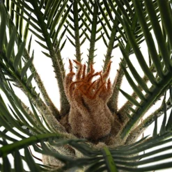 Livingandhome Artificial Cycas Tree Indoor Decorative Plant In Black Pot 82 Cm -HOMCO Garden Shop livingandhome artificial cycas tree indoor decorative plant in black pot 82 cm0735940260664 04c MP