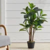 Livingandhome Artificial Rubber Tree Indoor Decorative Plant In Black Pot 90 Cm -HOMCO Garden Shop livingandhome artificial rubber tree indoor decorative plant in black pot 90 cm0735940245609 01c MP