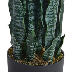 Livingandhome Artificial Snake Tree House Plant Indoor Decorative Plant In Black Pot 90 Cm -HOMCO Garden Shop livingandhome artificial snake tree house plant indoor decorative plant in black pot 90 cm0735940249232 04c MP
