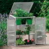 Neo Mini Grey Growhouse Greenhouse Cold Frame Model 2 -HOMCO Garden Shop neo mini grey growhouse greenhouse cold frame model 25056293904681 01c MP