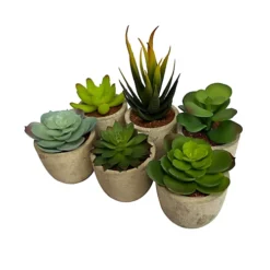 Oypla Set Of 6 Artificial Succulent Mini Cactus Grass Plants Indoor Decoration -HOMCO Garden Shop oypla set of 6 artificial succulent mini cactus grass plants indoor decoration5060544759616 03c MP