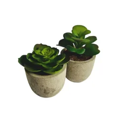 Oypla Set Of 6 Artificial Succulent Mini Cactus Grass Plants Indoor Decoration -HOMCO Garden Shop oypla set of 6 artificial succulent mini cactus grass plants indoor decoration5060544759616 04c MP