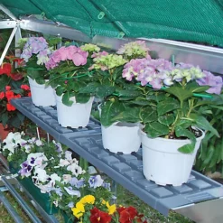 Palram - Canopia 1 Tier Greenhouse Shelving -HOMCO Garden Shop palram canopia 1 tier greenhouse shelving7290010027255 02i BQ