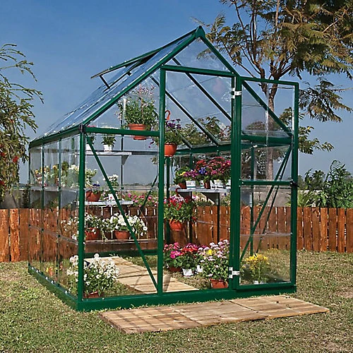 Palram - Canopia Harmony Green 6x6 Greenhouse 3 Palram - Canopia Harmony Green 6x6 Greenhouse