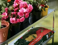 Primrose 2 Tier Essential Greenhouse Garden Staging Galvanised Steel Shelving Silver 1.18m -HOMCO Garden Shop primrose 2 tier essential greenhouse garden staging galvanised steel shelving silver 1 18m5055837293977 02c MP