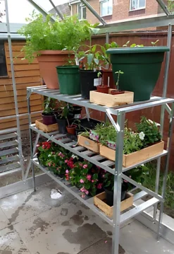 Primrose 3-Tier Traditional Garden Greenhouse Staging Silver 1.5m -HOMCO Garden Shop primrose 3 tier traditional garden greenhouse staging silver 1 5m5055773024765 03c MP