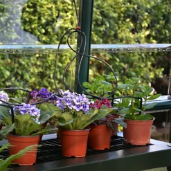 Rion Grand Gardner Green 8x16 Greenhouse -HOMCO Garden Shop rion grand gardner green 8x16 greenhouse7290103121594 37c