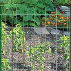 Simpa 1M X 10M Green PVC Coated Galvanised Steel Wire Garden Fencing -HOMCO Garden Shop simpa 1m x 10m green pvc coated galvanised steel wire garden fencing0704725444018 03c MP