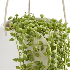 String Of Beads In 13cm White Ceramic Hanging Pot 5 String Of Beads In 13cm White Ceramic Hanging Pot -HOMCO Garden Shop string of beads in 13cm white ceramic hanging pot3663602497356 36c bq